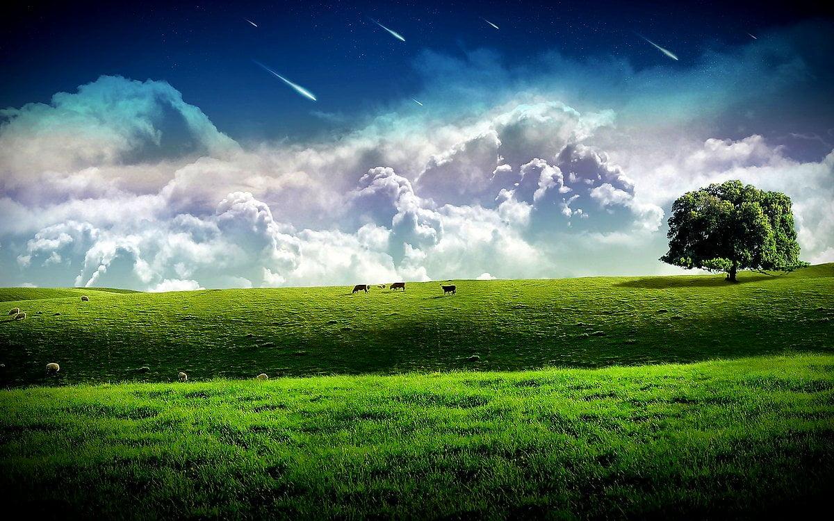 1200x750 Minimalist Nature, Green, Field picture. TOP Free Download pics