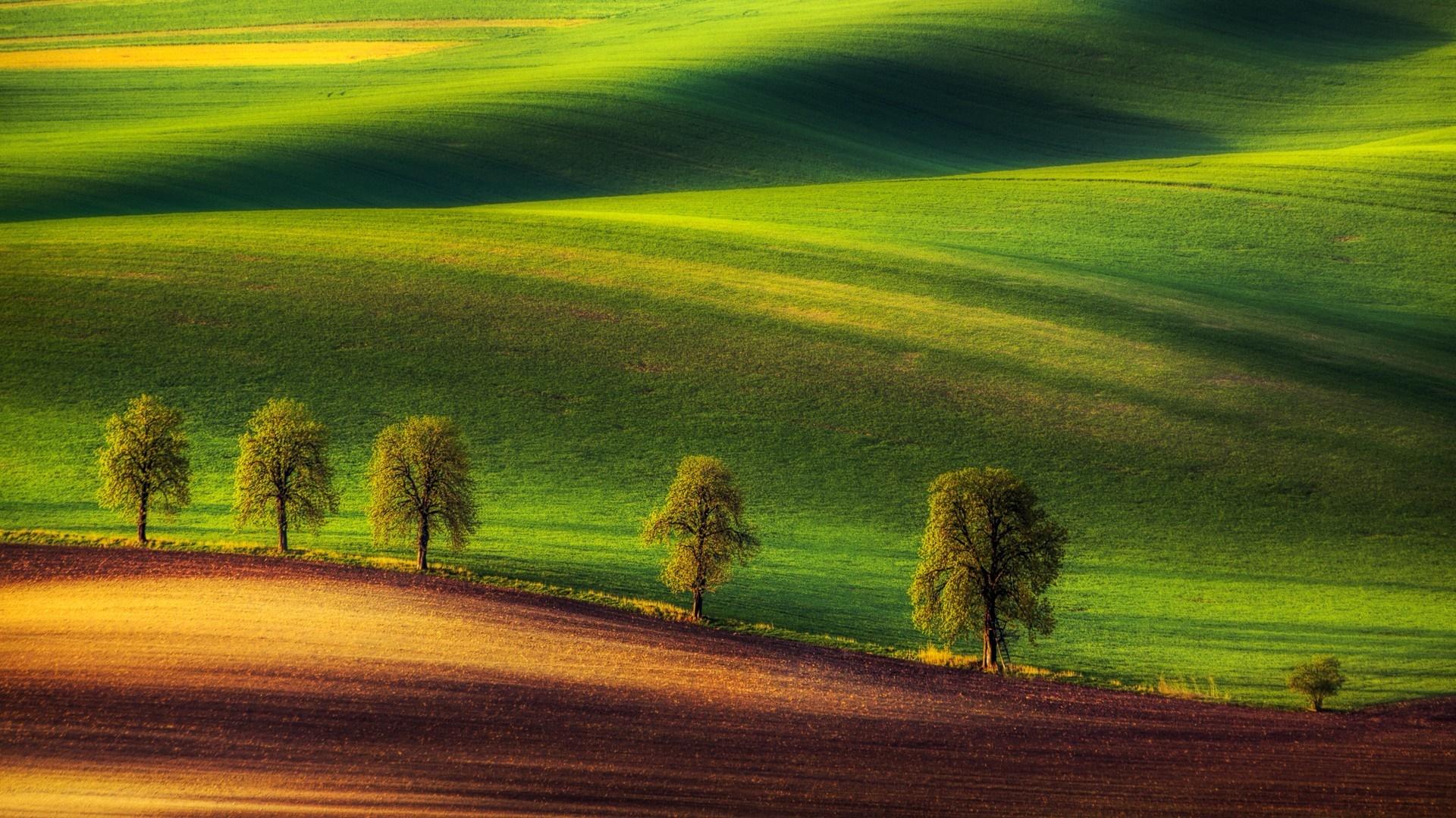 1920x1080 1920x1080 hill grass trees landscape nature field green wallpaper JPG 540 kB Gallery HD Wallpaper