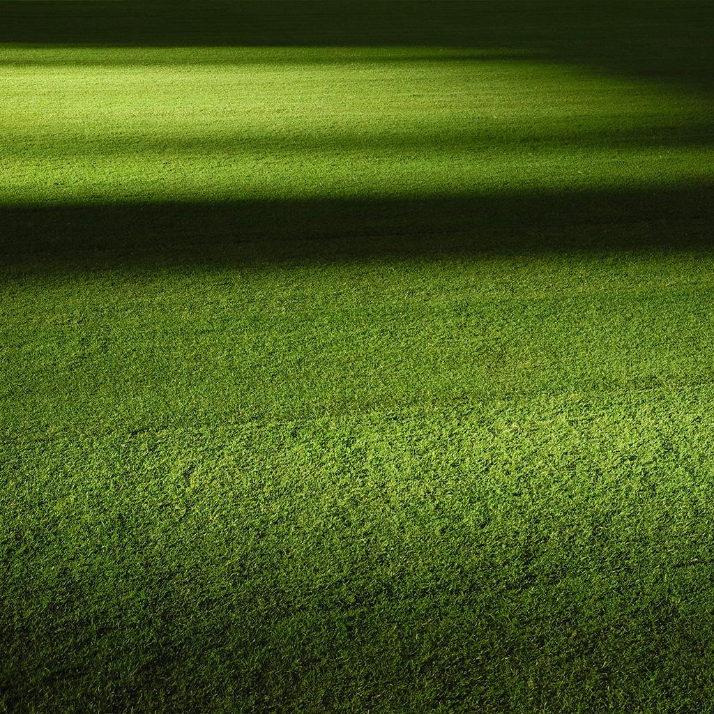 1024x1024 Android wallpaper. field green night grass pattern background