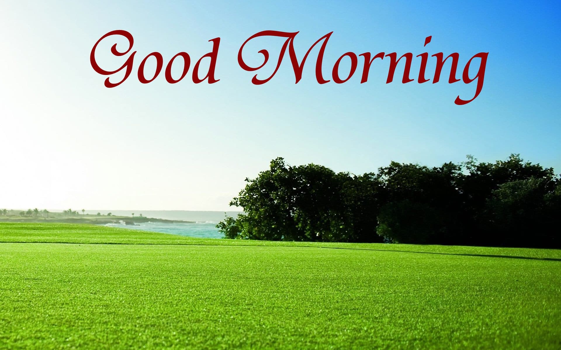 1920x1200 Good Morning Beautiful Green Ground Wallpaper