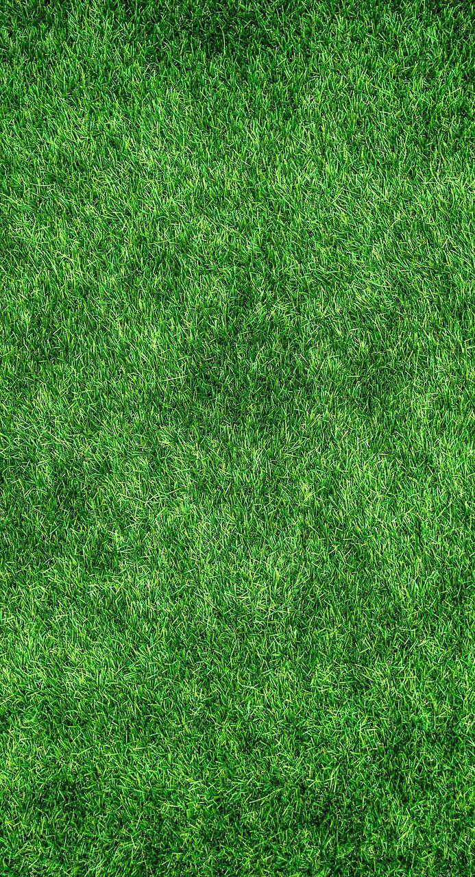 693x1280 Image gratuite sur Pixabay Pelouse Jardin Parc Sol. Gramado verde Imagens para photohop Fundo para fotografia