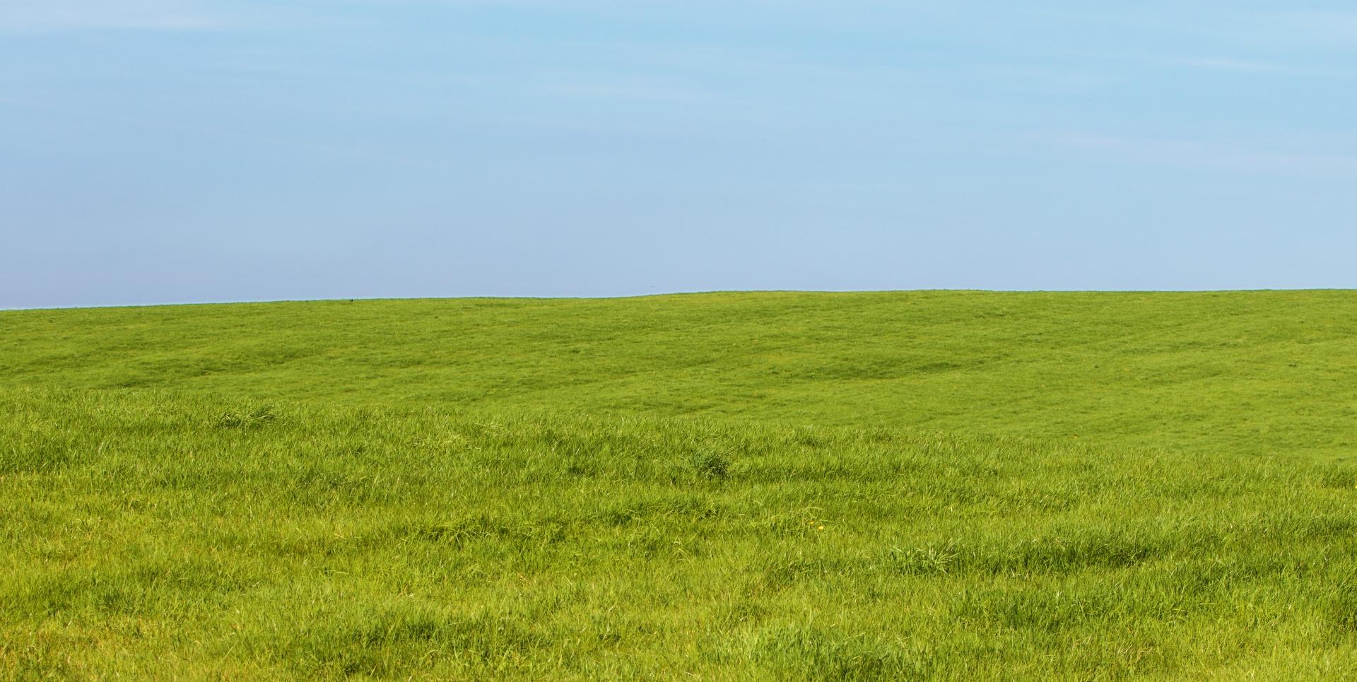 1920x965 Download free photo of Grass, sky, green blue, background, wallpaper
