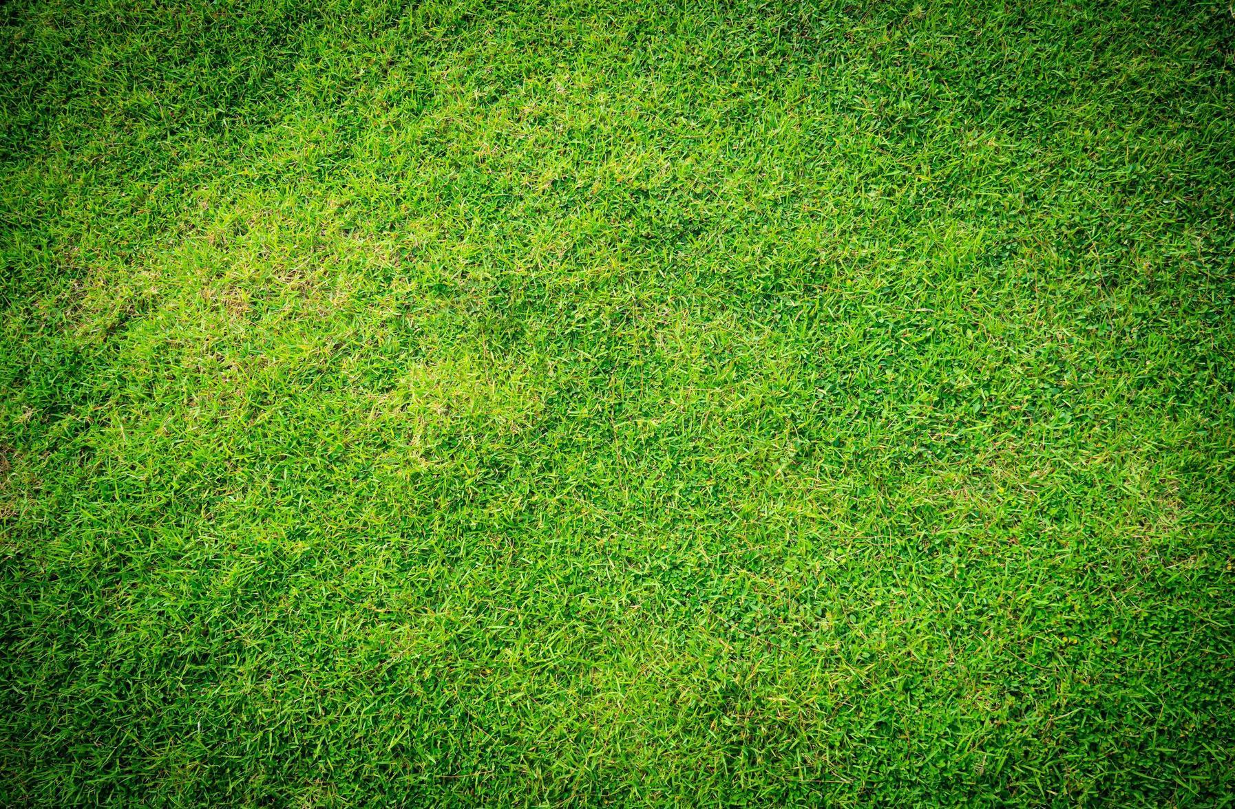 1794x1176 Top view fresh green grass or lawn For football and soccer fields or golf courses or grassland. For use to make background or wallpaper garden or turf. The fresh field for a