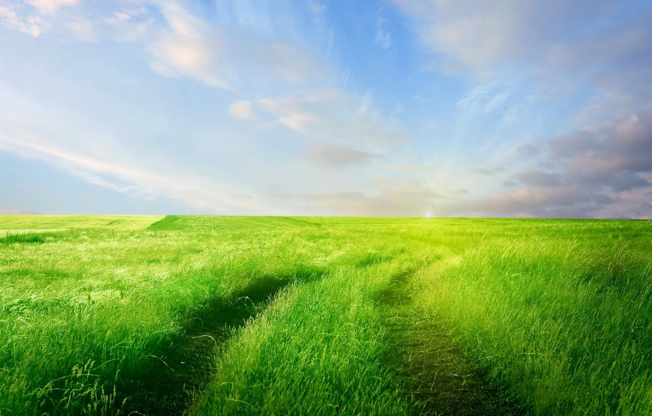 1332x850 Wallpaper road, greens, field, the sky, grass, clouds, nature, horizon image for desktop, section природа