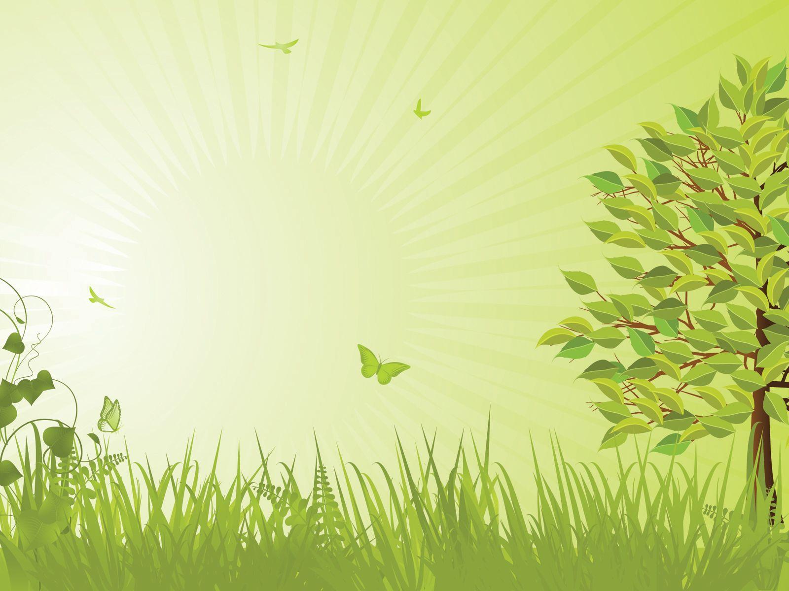 1600x1200 Butterfly Flowers Aesthetic. Green nature, Flower aesthetic, Butterfly flowers