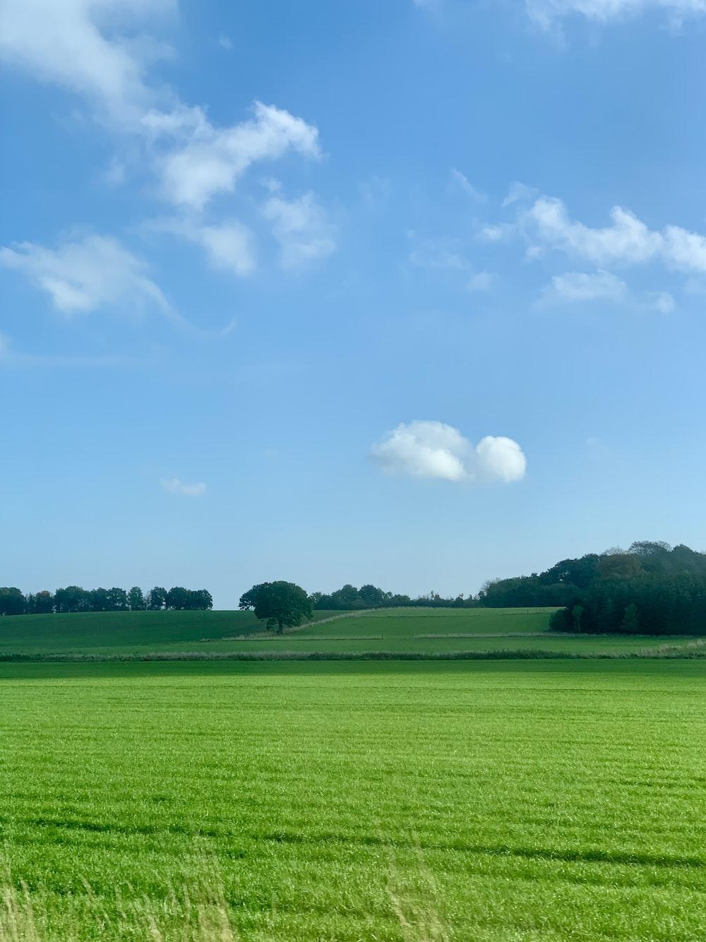 1000x1334 green grass field under blue sky during daytime photo