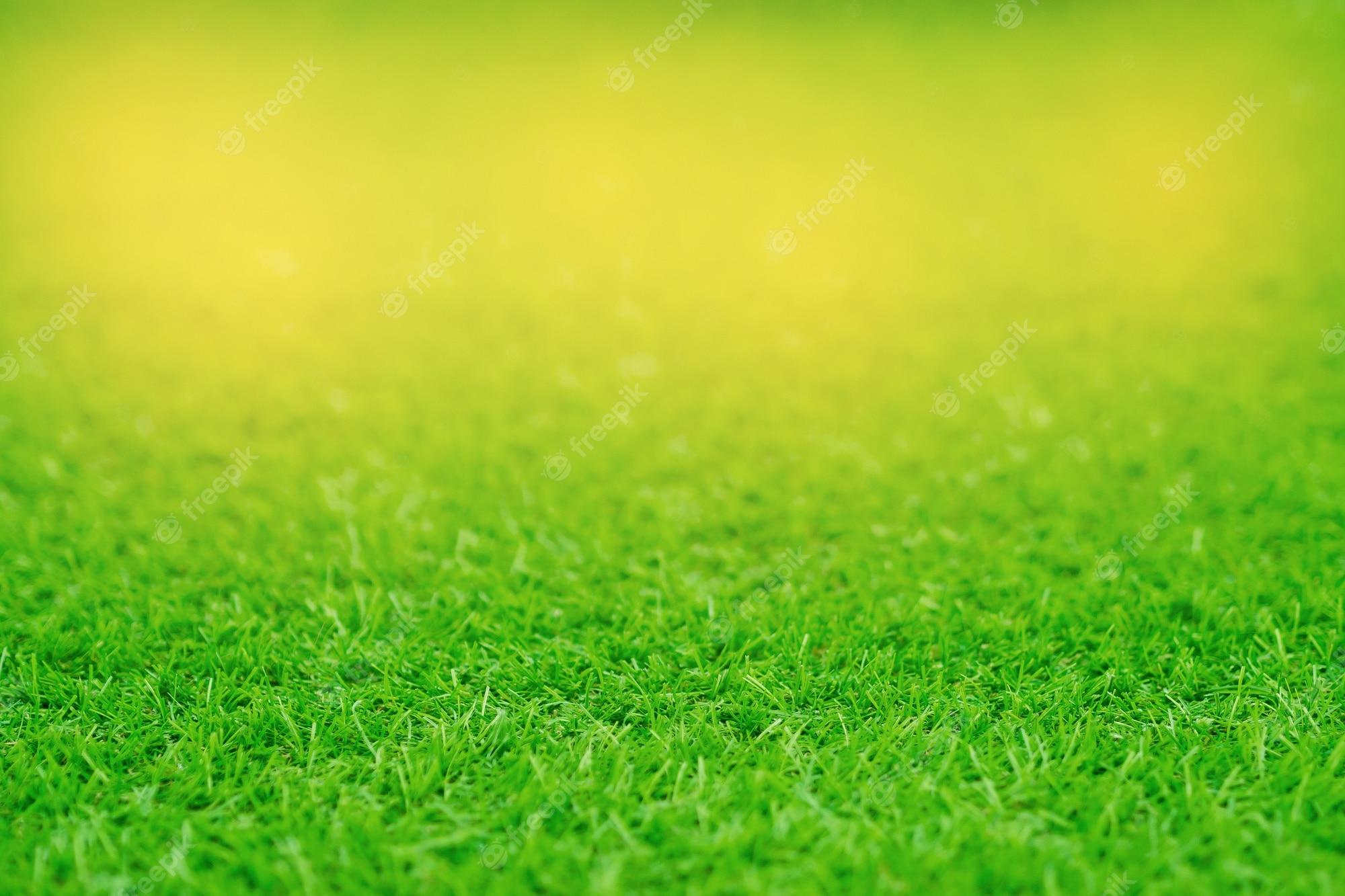 2000x1333 Premium Photo. Grass field background, green grass, green background