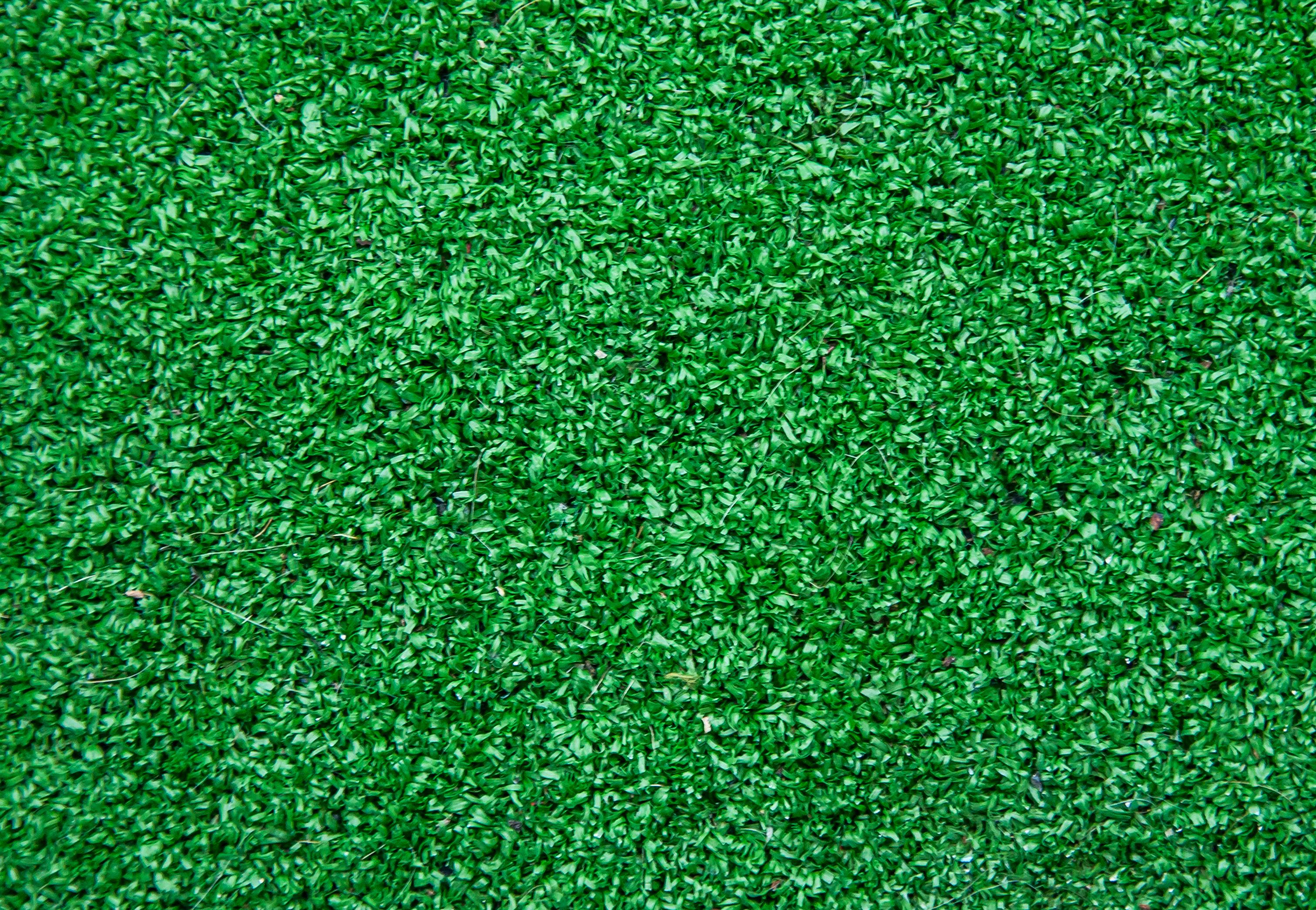 3023x2091 Free photo: Artificial grass background, Pasture, Grass