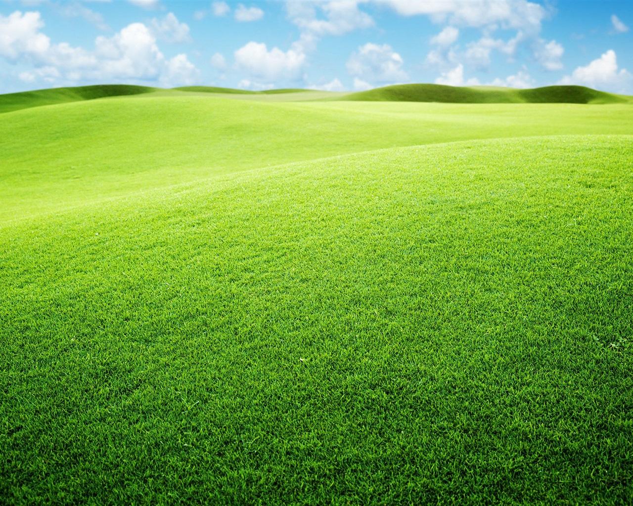 1280x1024 Wallpaper Grassland, green, sky 2560x1600 HD Picture, Image