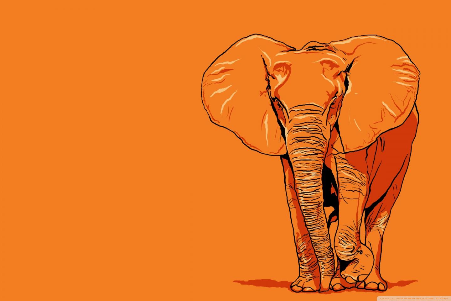 1440x960 Elephant Vector Art Ultra HD Desktop Background Wallpaper for 4K UHD TV : Tablet