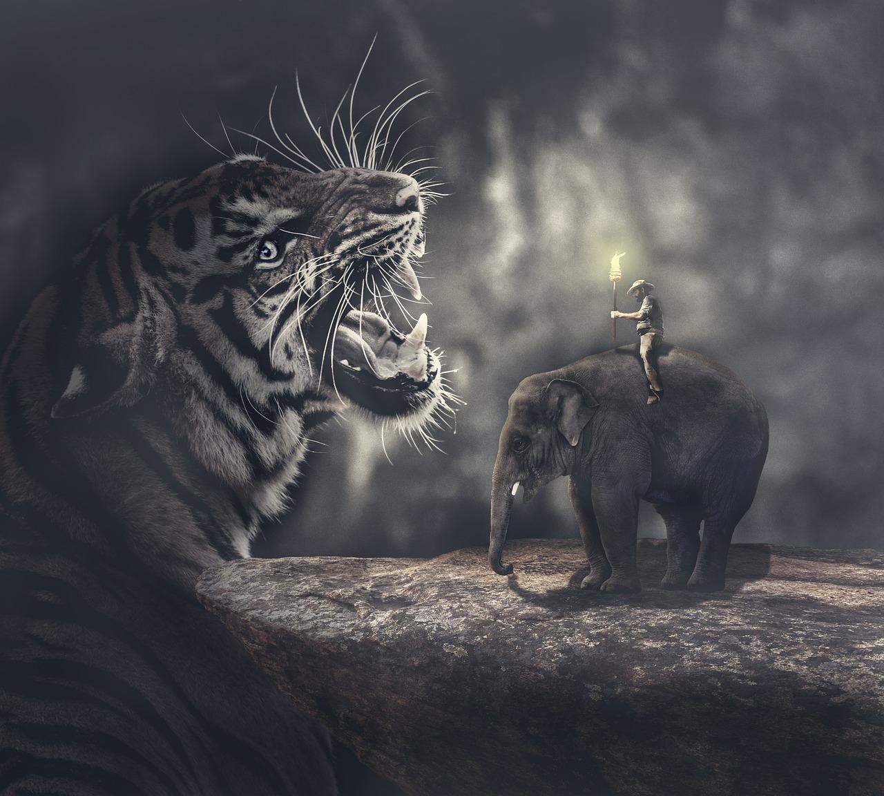1280x1152 Tiger Elephant Warm Mood HD