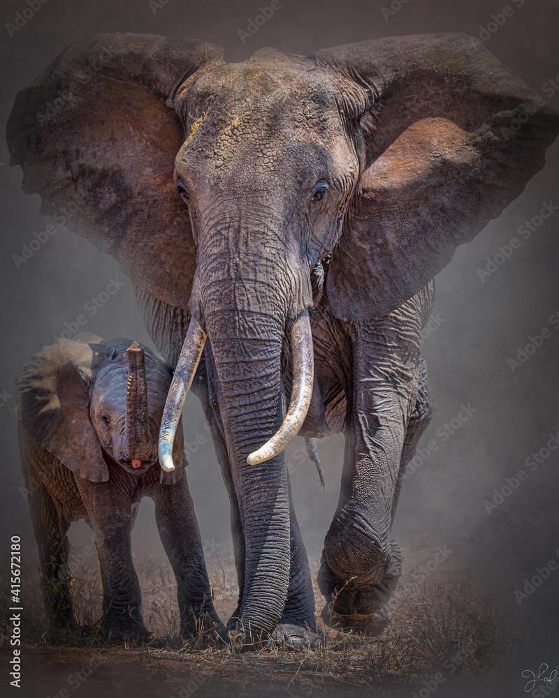 800x1000 Mom and baby, baby elephant, animals, Africa, African wildlife, wildlife, Tanzania, Tarangire National Park, baby animals, big animals, Elephant cow and calf