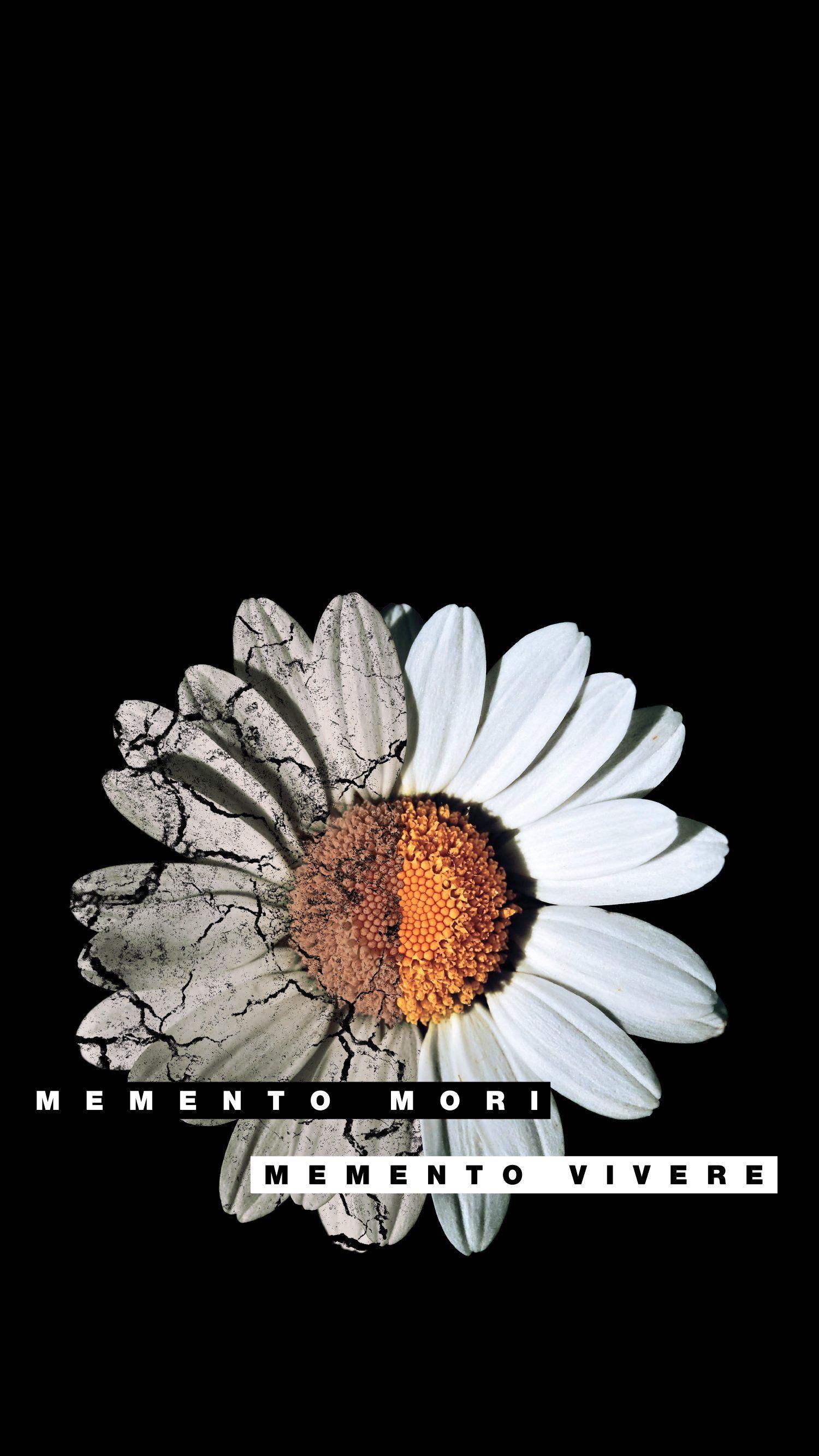 1500x2667 Memento Mori Phone Wallpaper