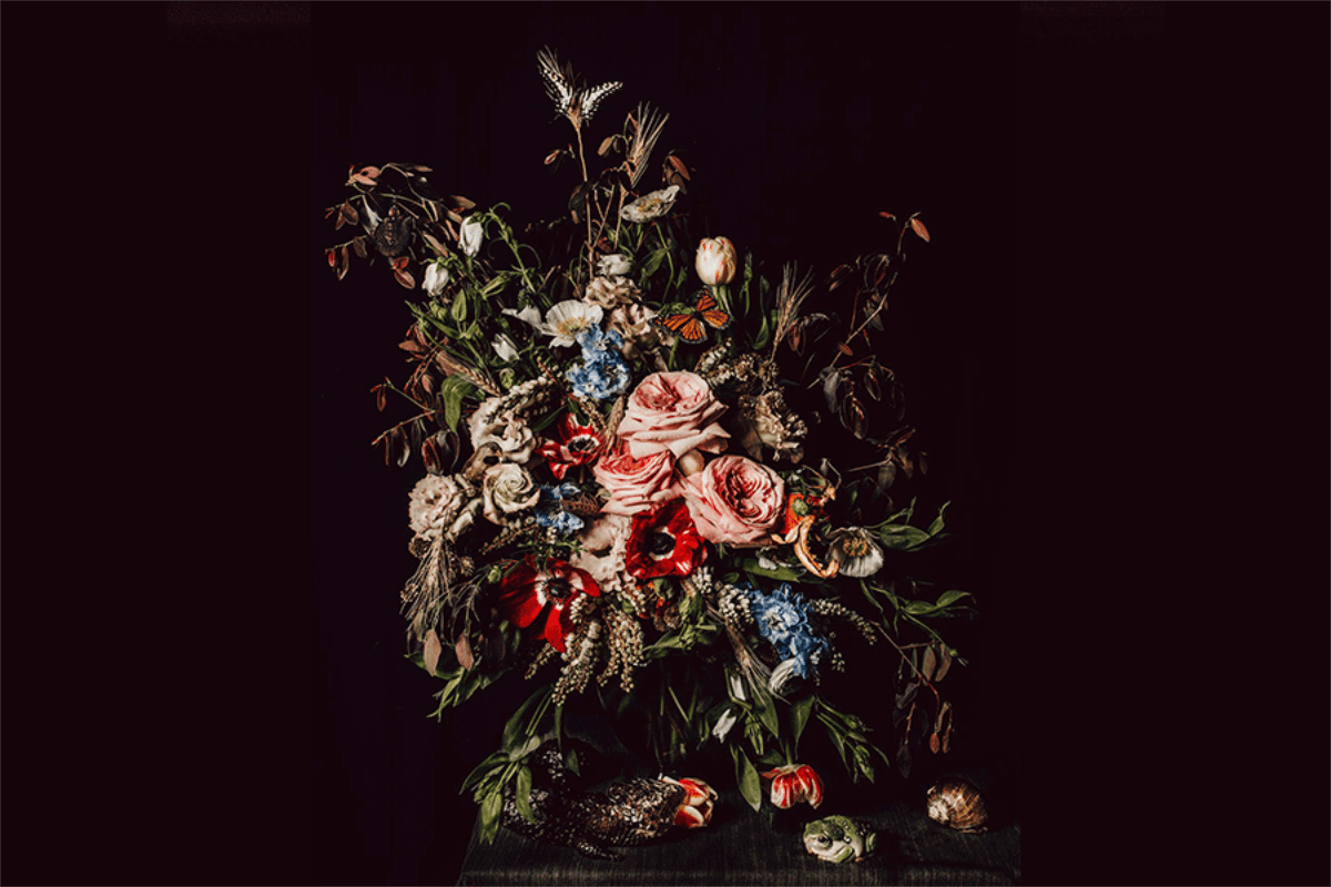 1200x800 Christina Lowry: MEMENTO VIVERE : Remember to Live Arts Centre