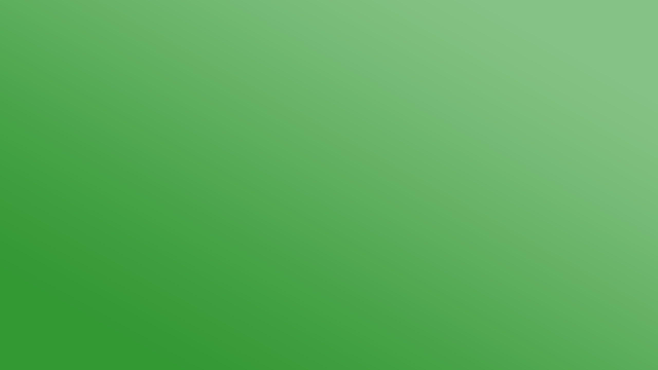 2560X1440 Green Wallpapers - Top Free 2560X1440 Green Backgrounds - WallpaperAccess