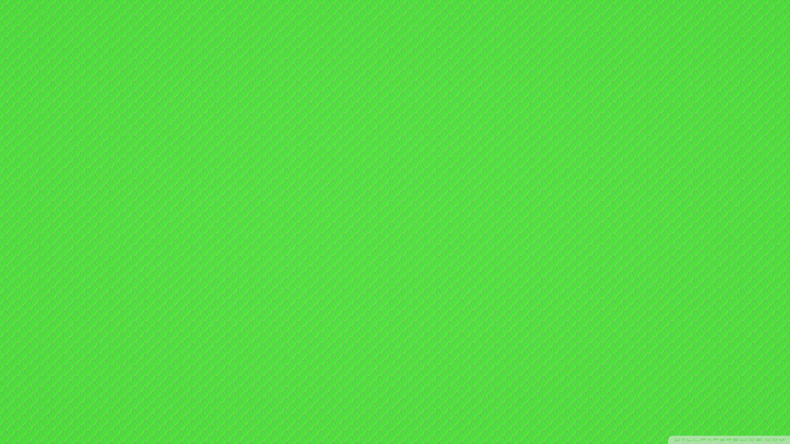 2560X1440 Green Wallpapers - Top Free 2560X1440 Green Backgrounds ...