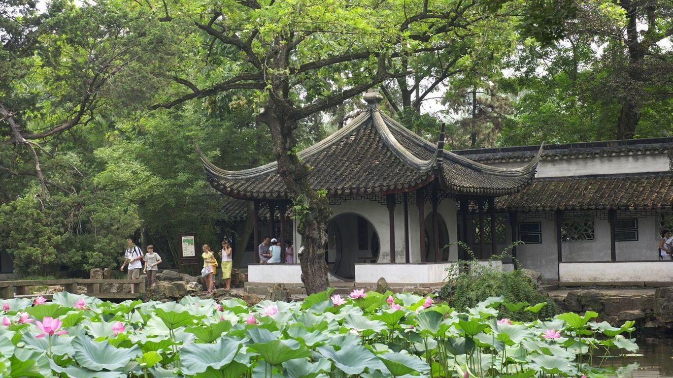 1366x768 Download wallpaper 1366x768 china, plant, premises, furniture