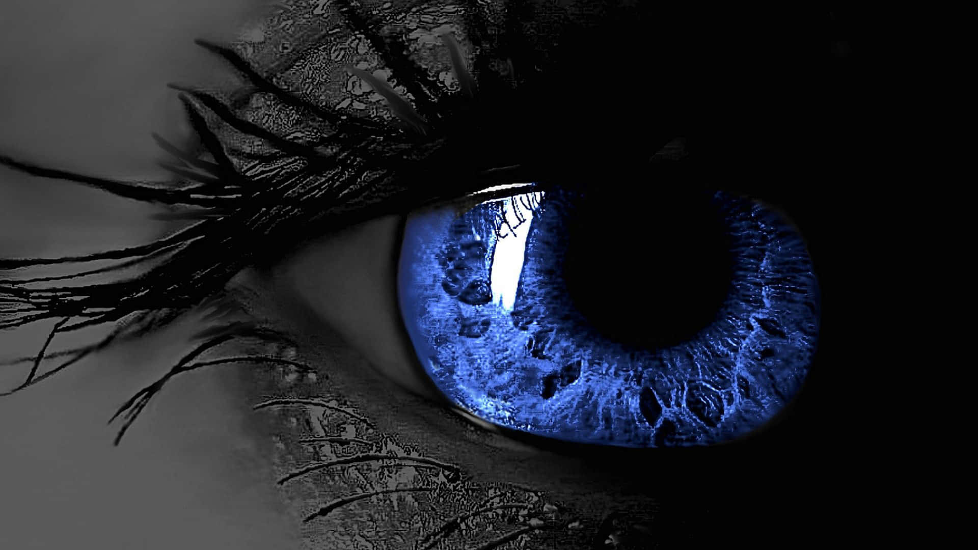 Cold Eyes Wallpapers Top Free Cold Eyes Backgrounds Wallpaperaccess 3596