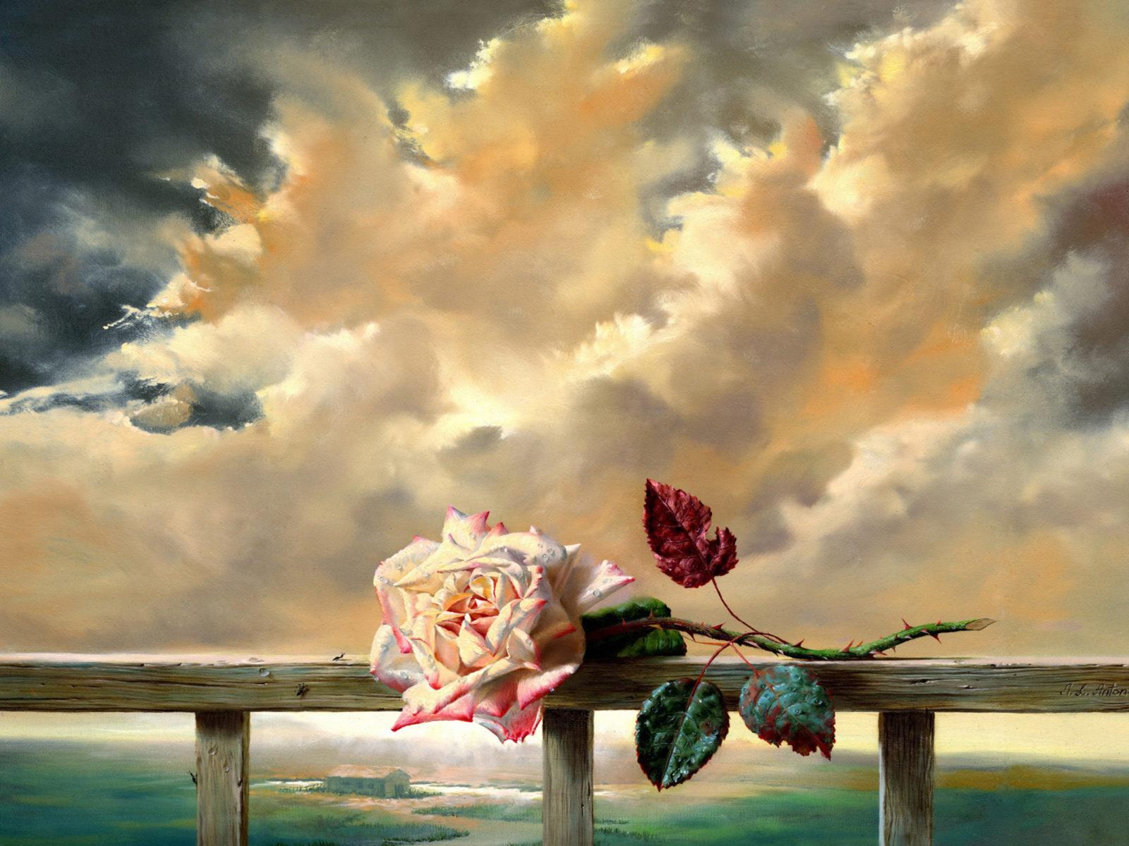 1600x1200 Hd Wallpaper Painting Flower Freshness Rose Clouds :