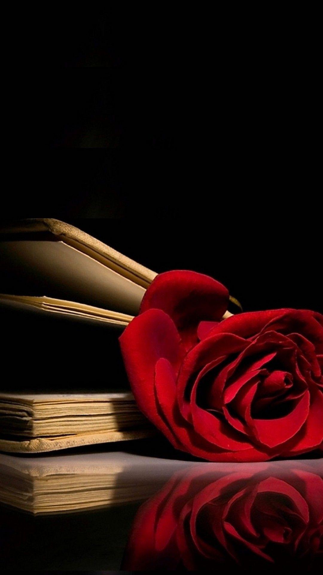 Rose iPhone Wallpapers - Top Free Rose iPhone Backgrounds - WallpaperAccess