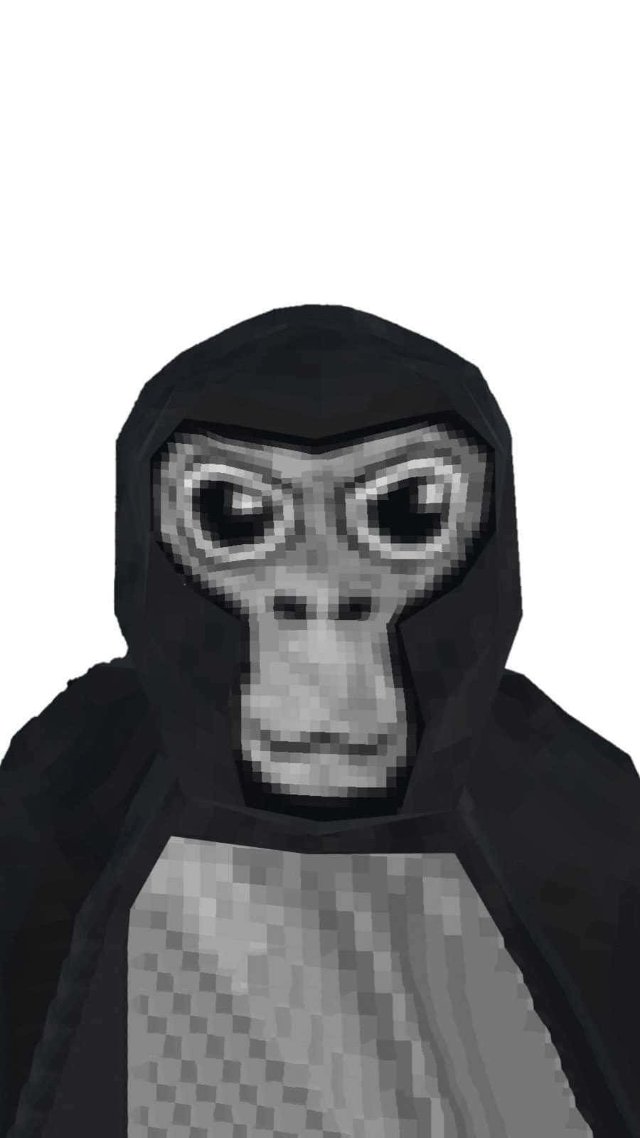 900x1600 Free Gorilla Tag Background, Gorilla Tag Background s for FREE