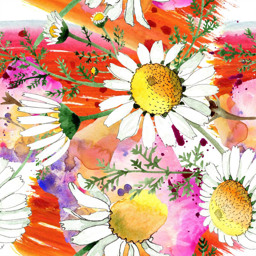 1024x1024 Wild Spring Chamomile Flowers. Watercolor Illustration Set. Free and Image