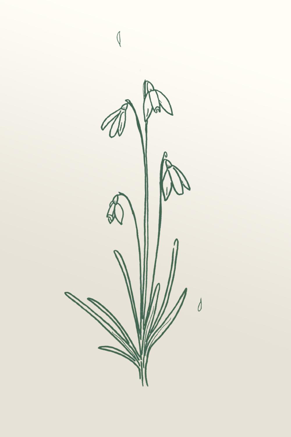 1000x1500 Spring Flower Trio Device Wallpaper