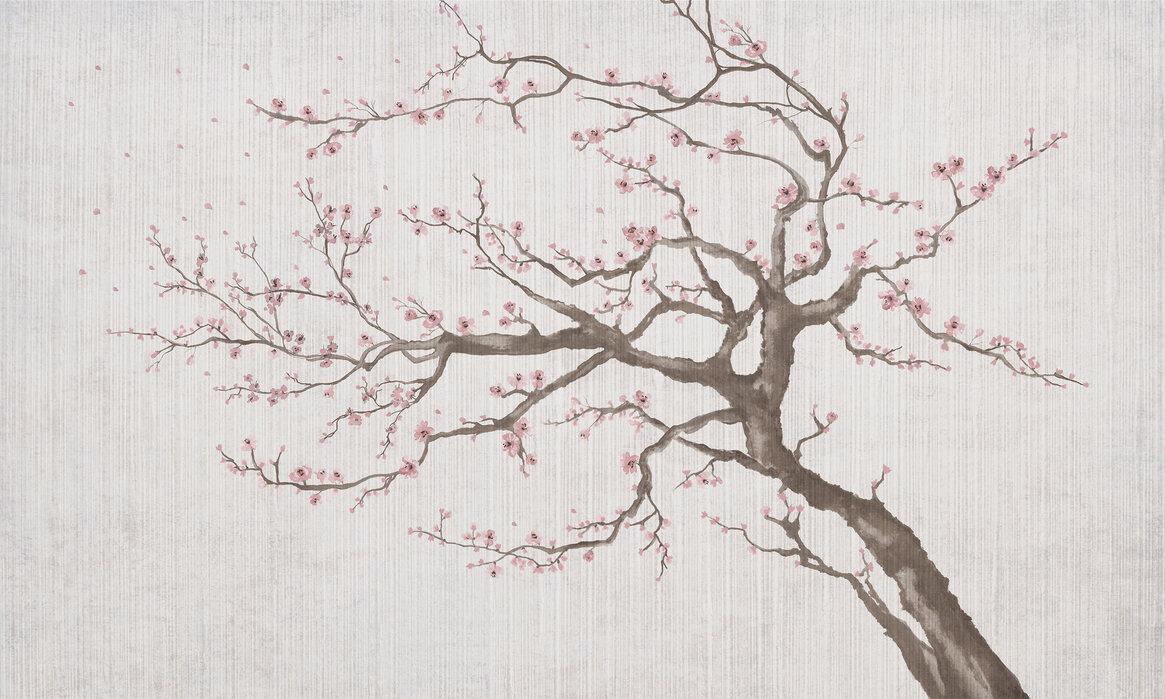 1165x699 Sakura Spring VIII
