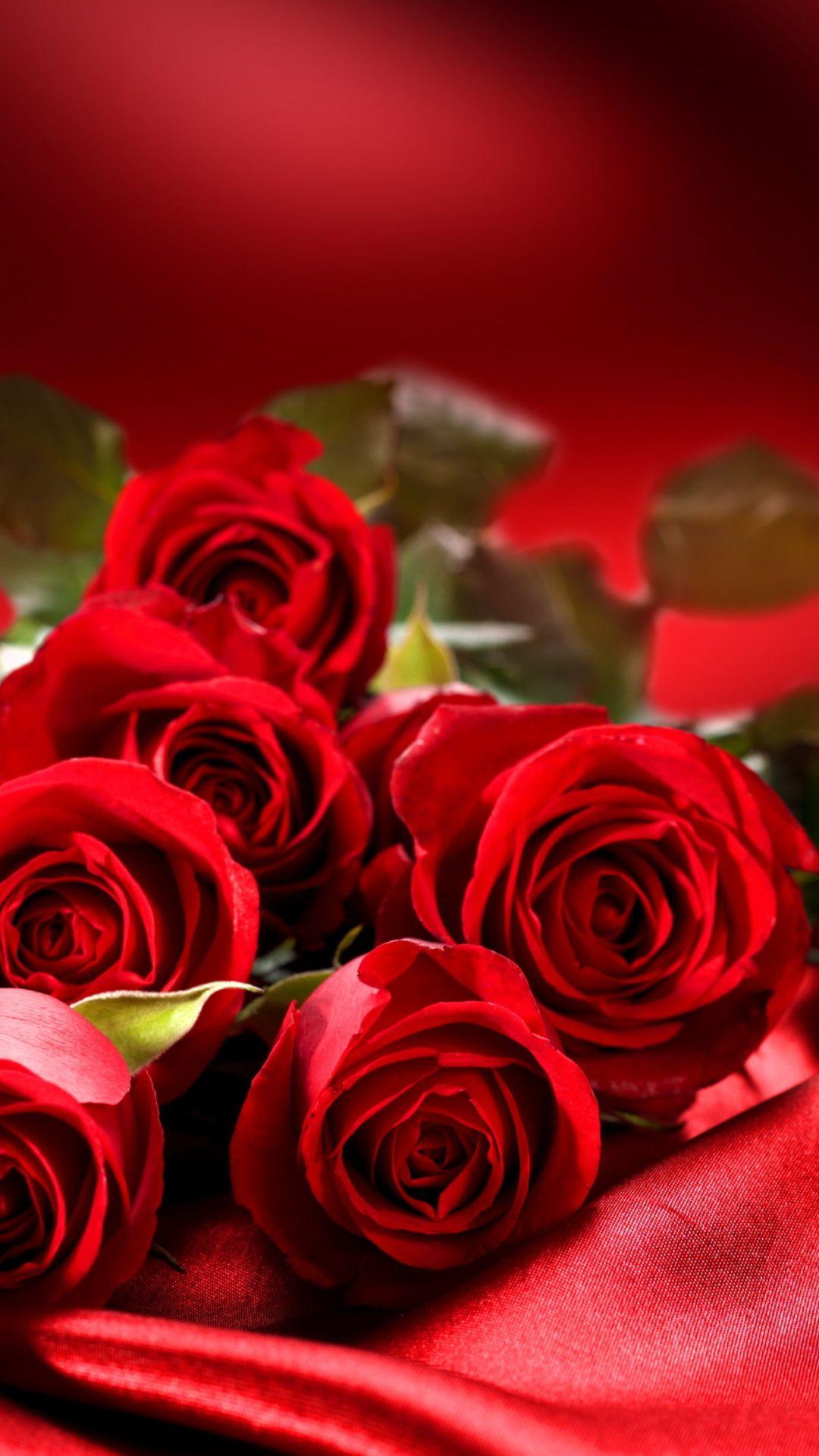 Best of red rose flower wallpaper for mobile on quotes about love