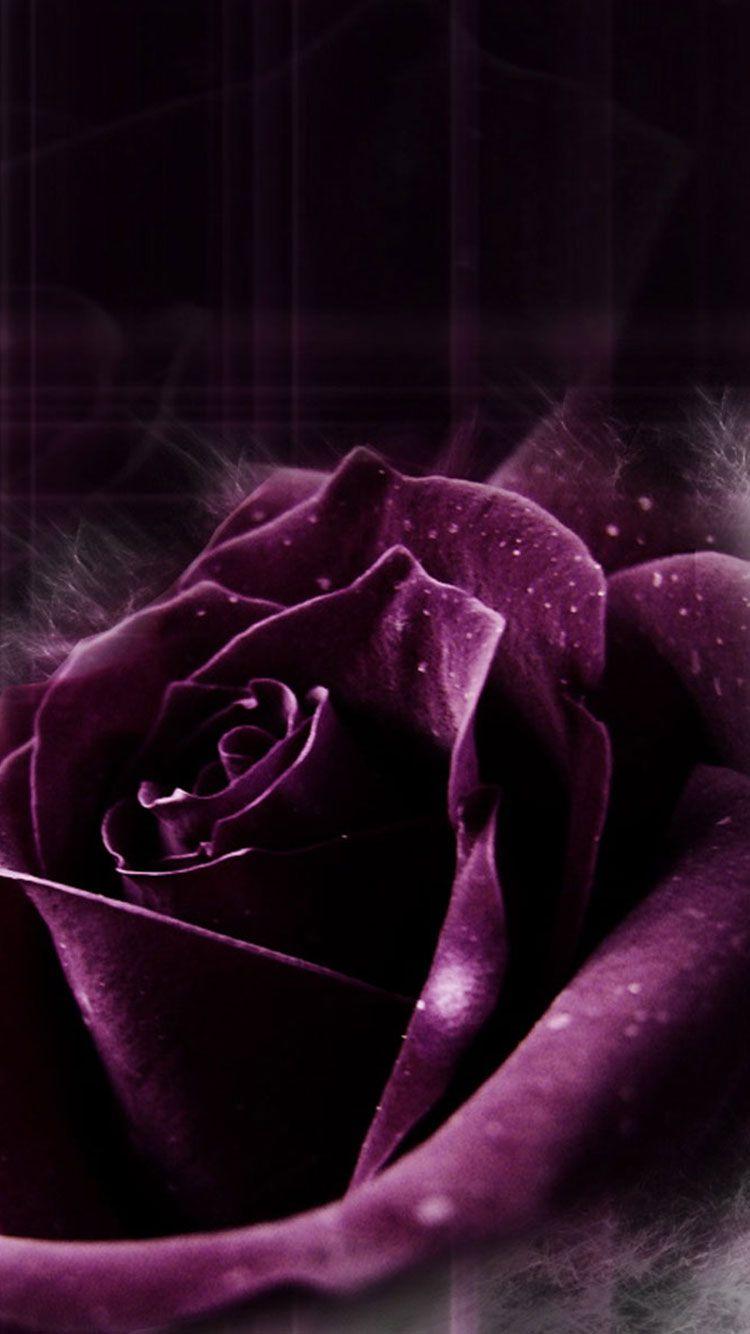 Dark Purple Flower iPhone Wallpapers - Top Free Dark ...