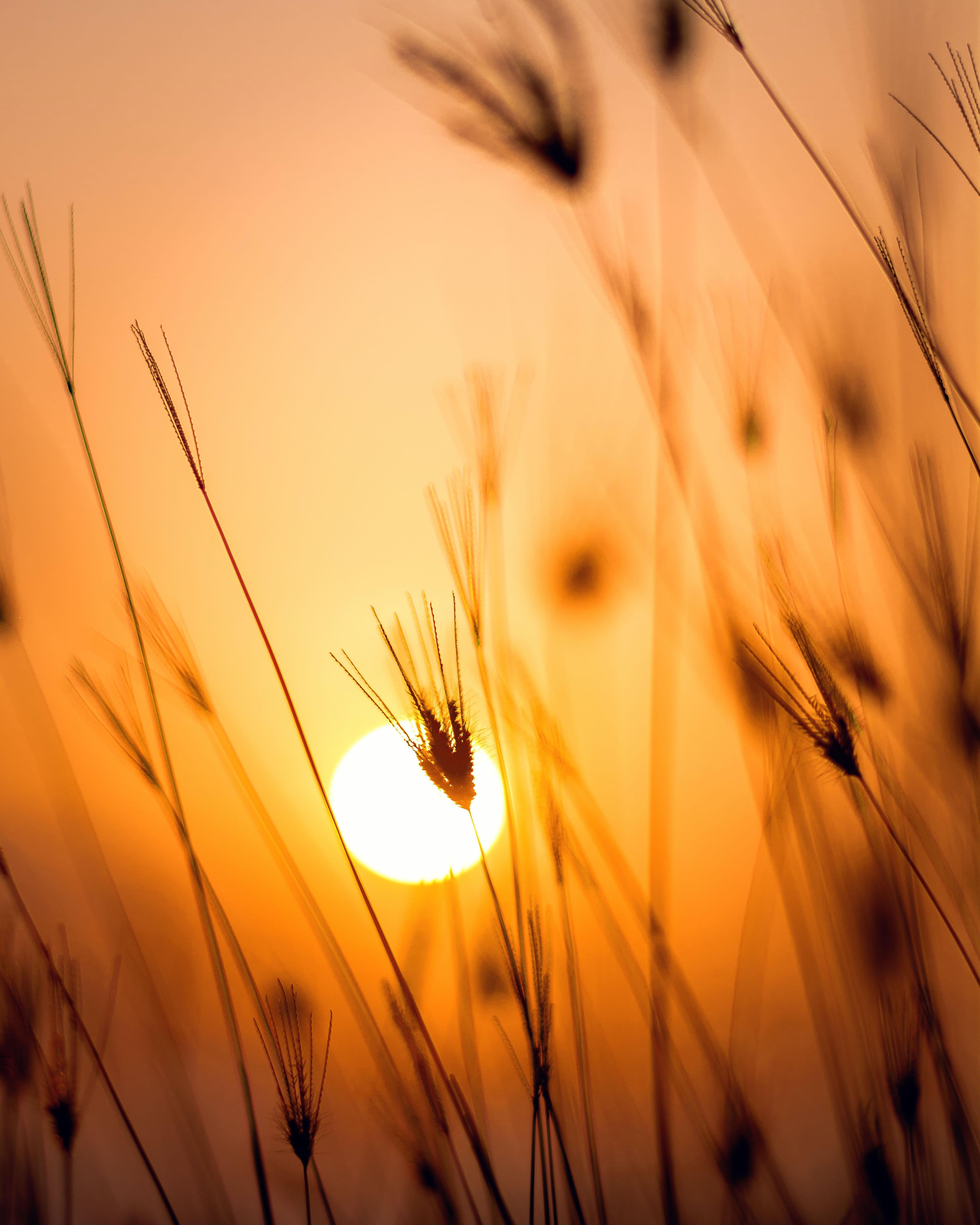 3806x4758 10.Sonnenaufgang Bilder Und Fotos · Kostenlos Downloaden · Stock Fotos