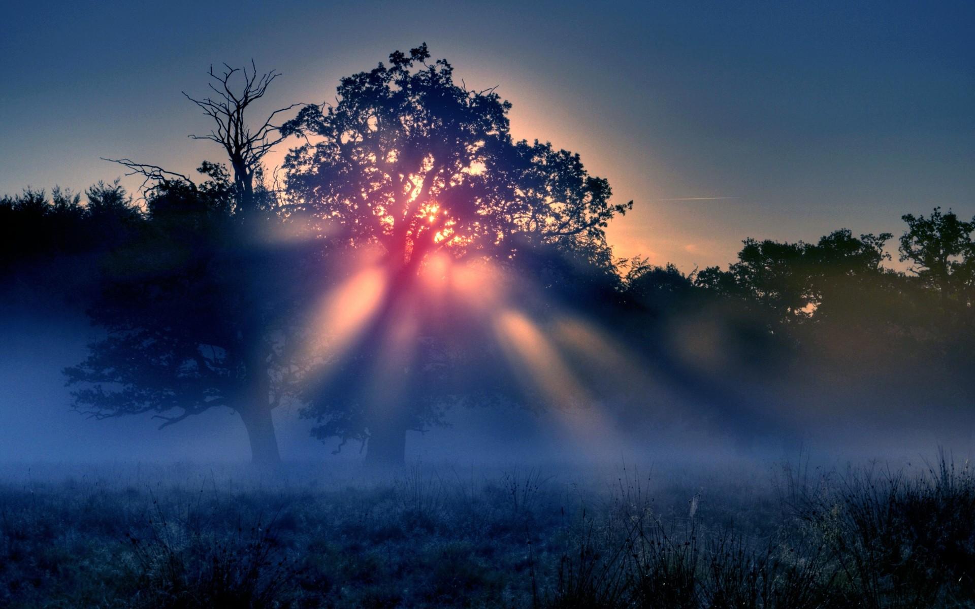 1920x1200 Sonnenaufgang HD Wallpaper und Hintergründe