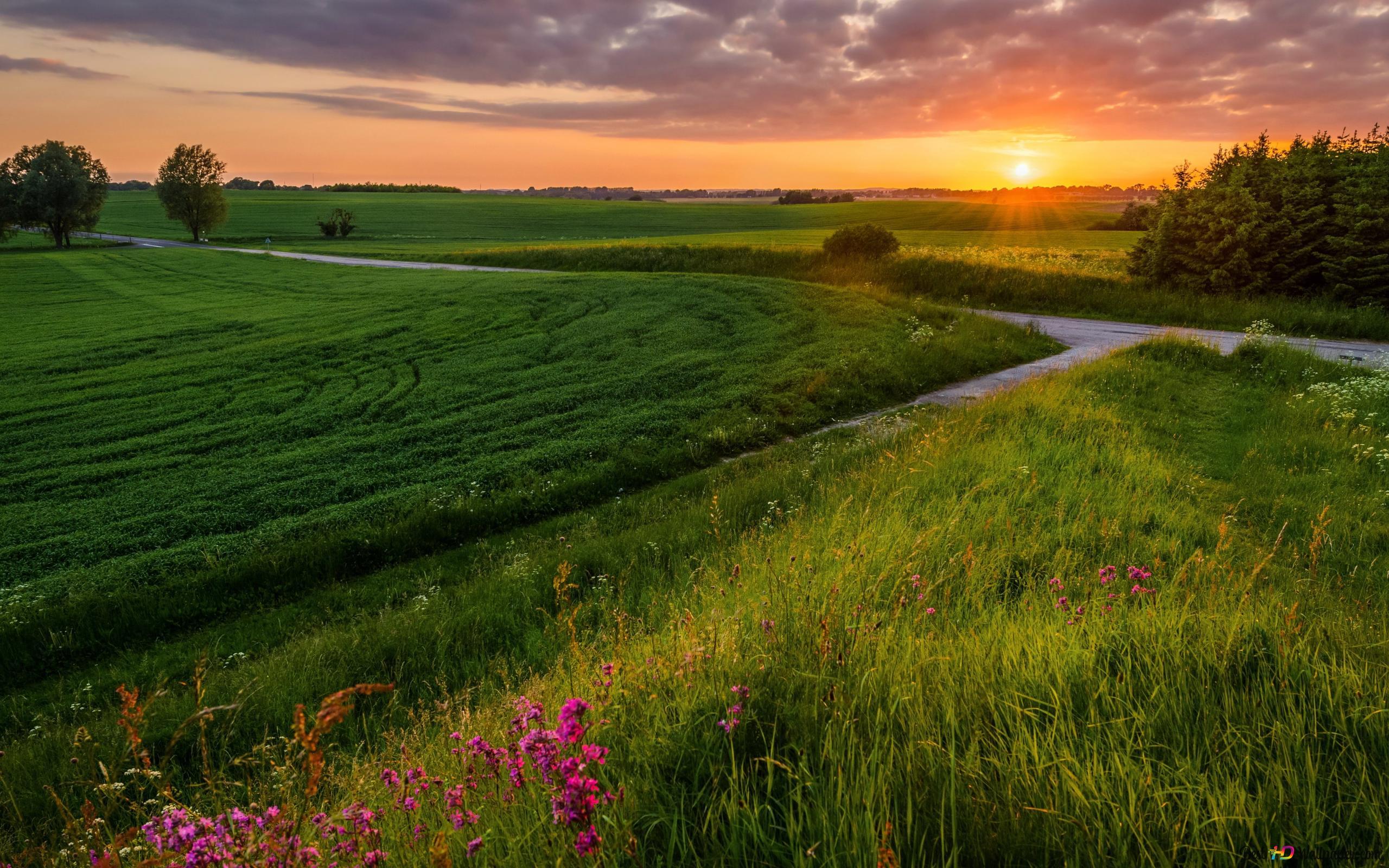 2560x1600 Sonnenaufgang 4K Hintergrundbild herunterladen