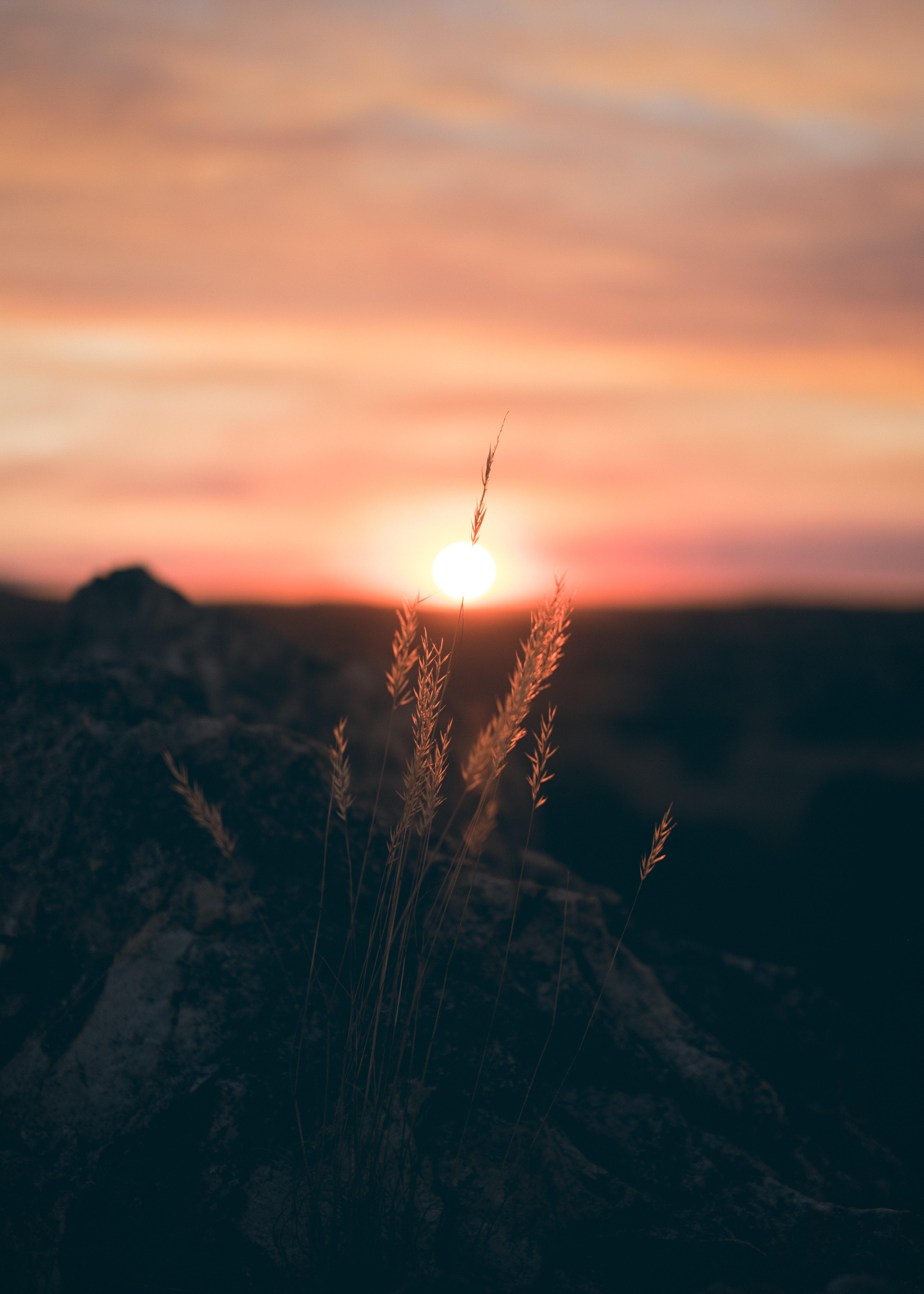 4000x5600 10.Sonnenaufgang Bilder Und Fotos · Kostenlos Downloaden · Stock Fotos
