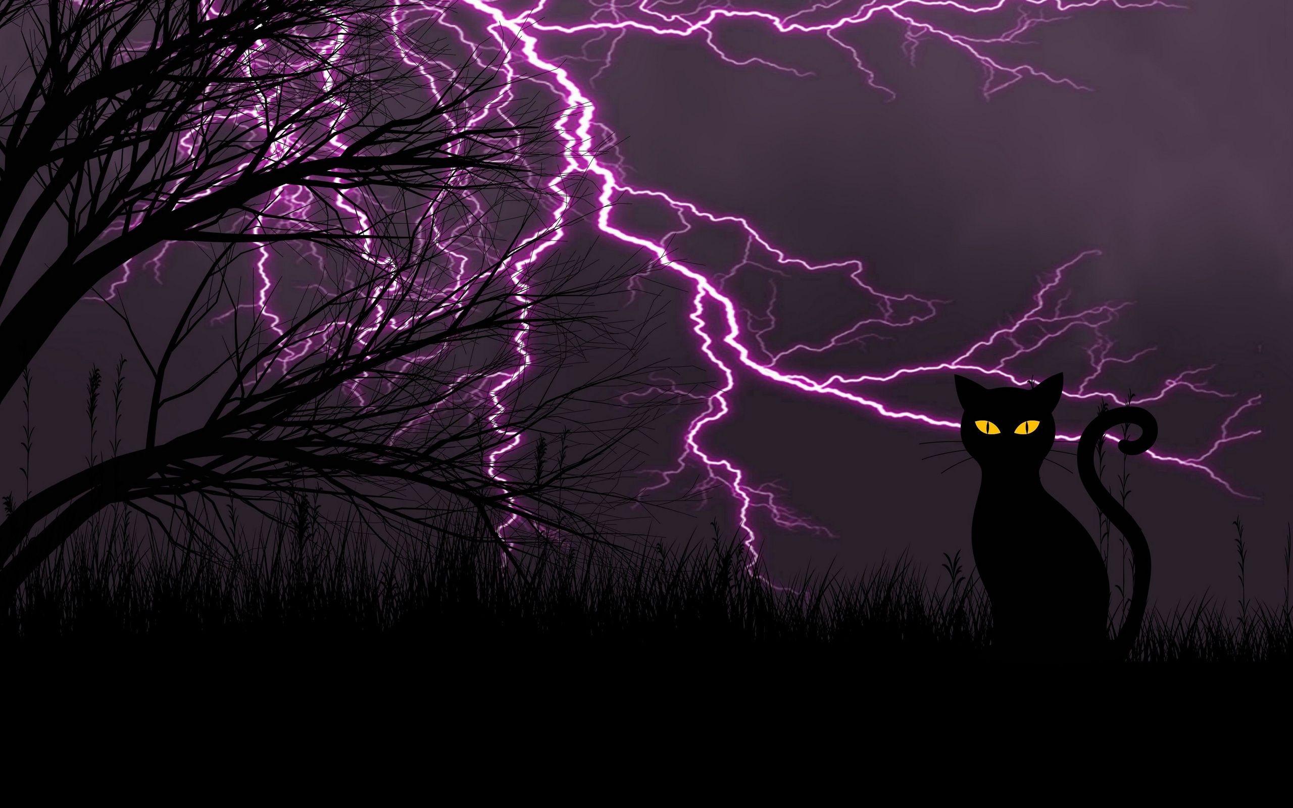 2560x1600 Black Cat With Lightning Stirikes 4K UltraHD Wallpaper. Wallpaper