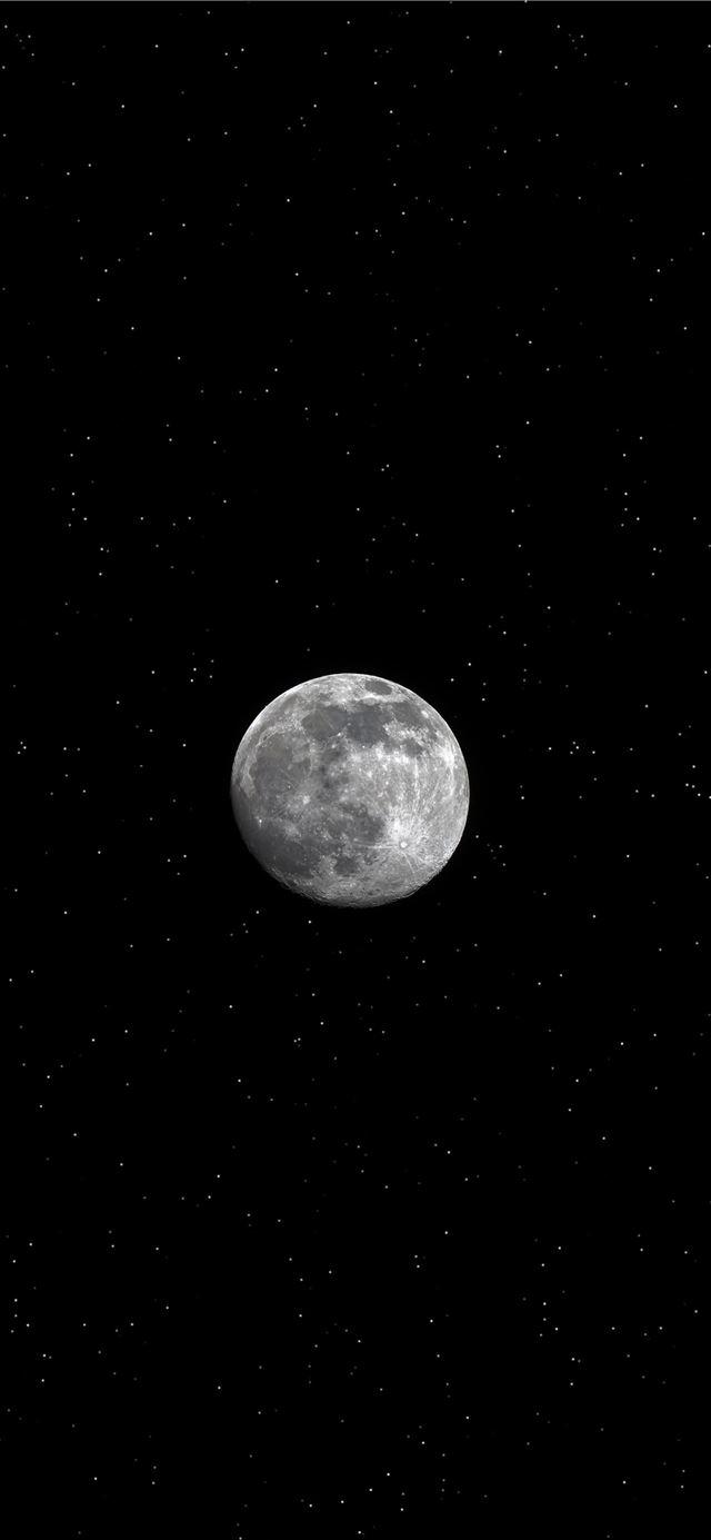 640x1385 full moon in the night sky iPhone 11 Wallpaper Free Download