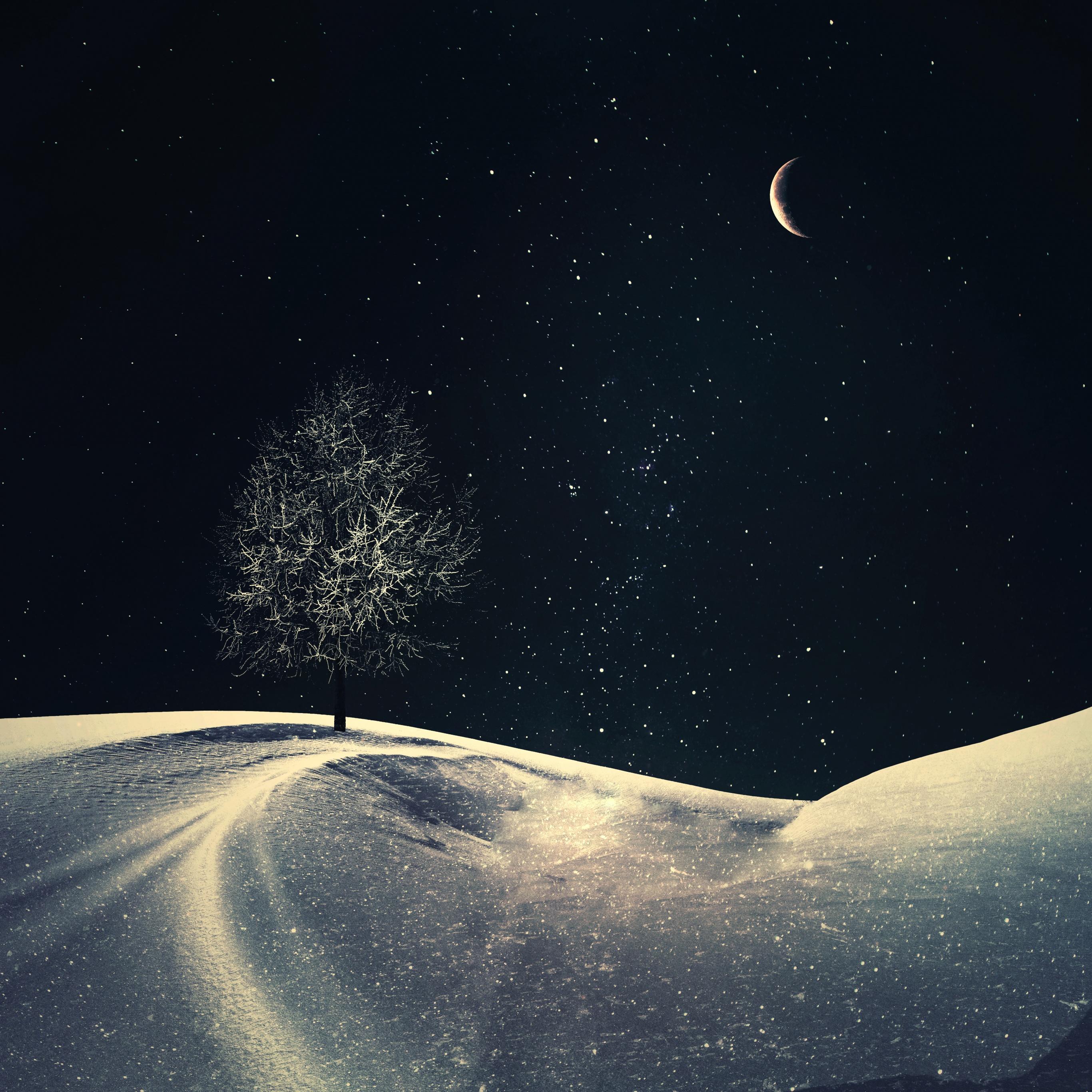 2732x2732 Lone tree Wallpaper 4K, Crescent Moon, Night, Nature