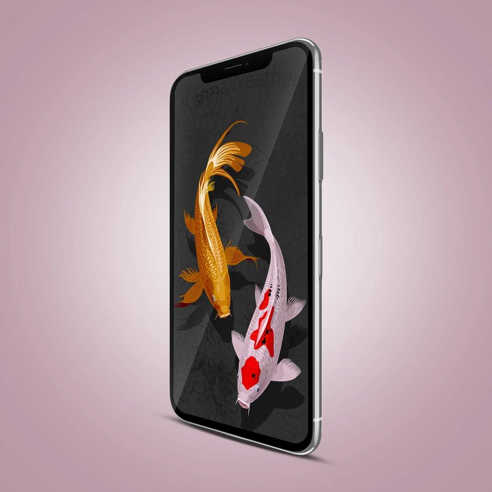 1000x1000 Feng Shui Mobile Wallpaper of 2 Koi carp fish