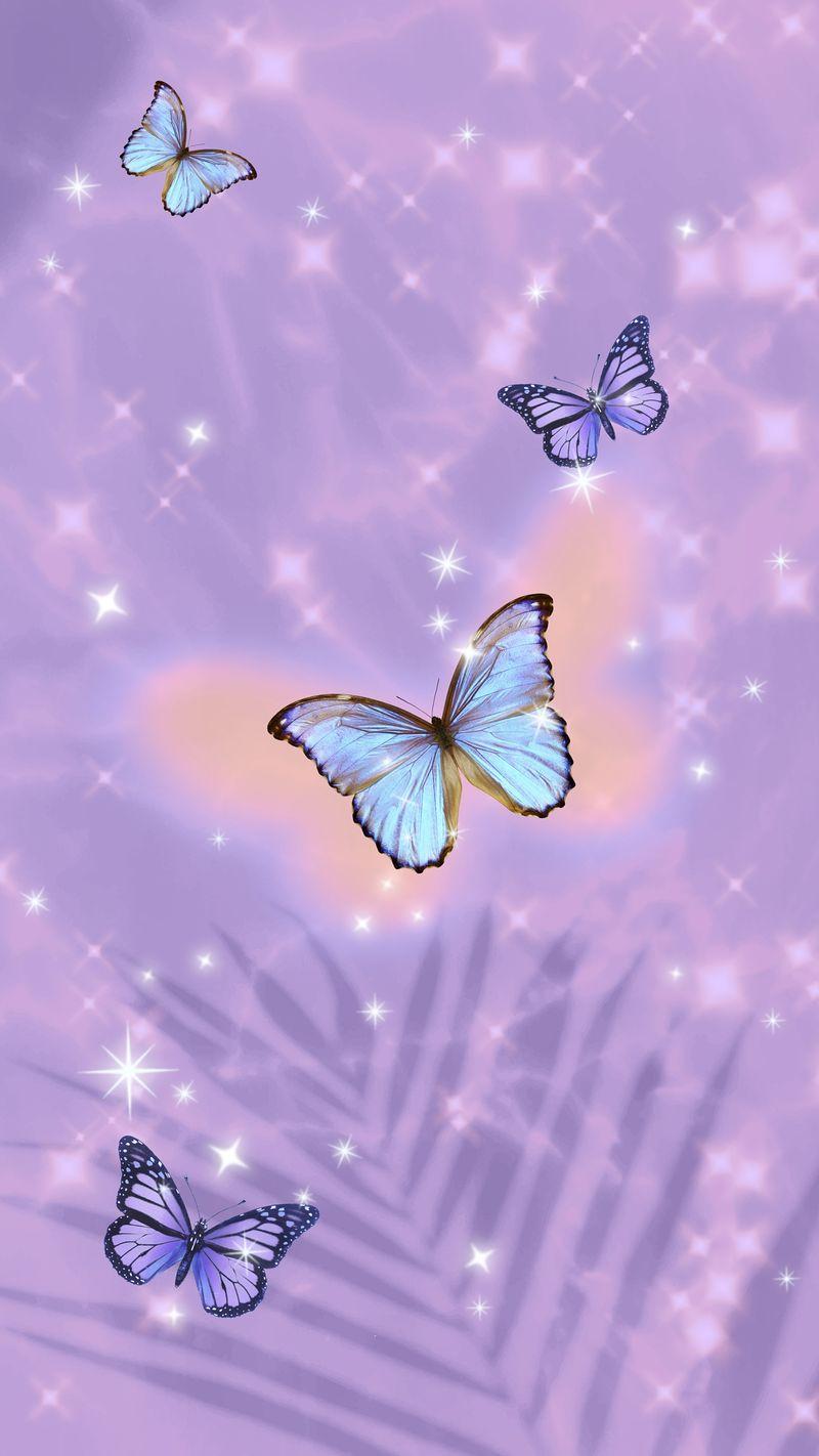 Lilac Butterfly Wallpapers - Top Free Lilac Butterfly Backgrounds ...