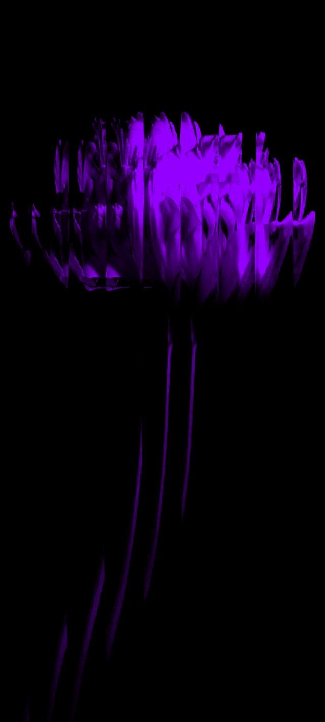640x1422 Nothing Phone 1 Alternative Wallpaper