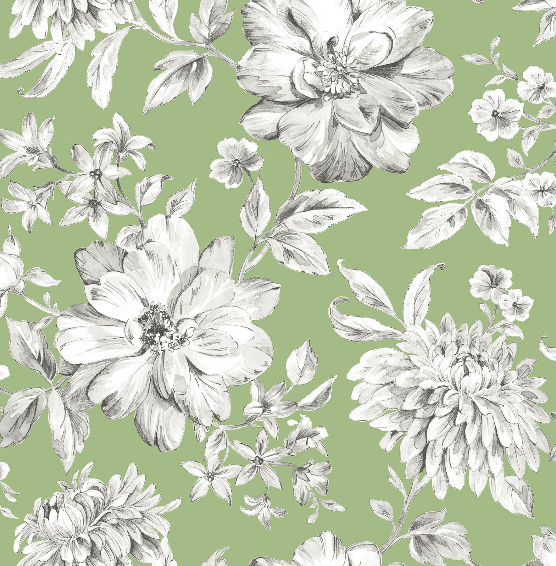 White and Green Flower Wallpapers Top Free White and Green Flower
