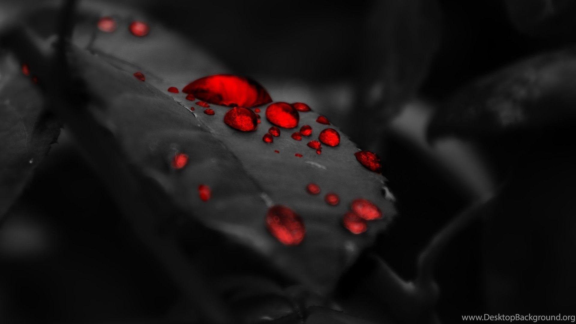1920x1080 Desktop red apple HD wallpaper 1080p Desktop Background