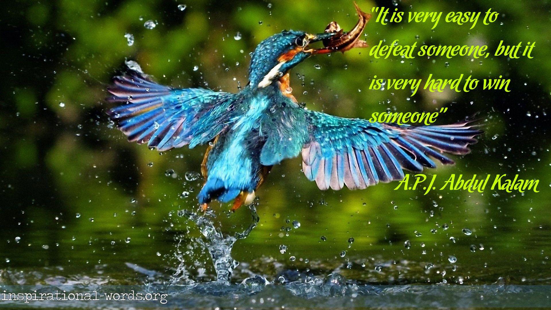 1920x1080 Inspirational Wallpaper Quote by A.P.J. Abdul Kalam. Birds wallpaper hd, Bird wallpaper, Beautiful birds