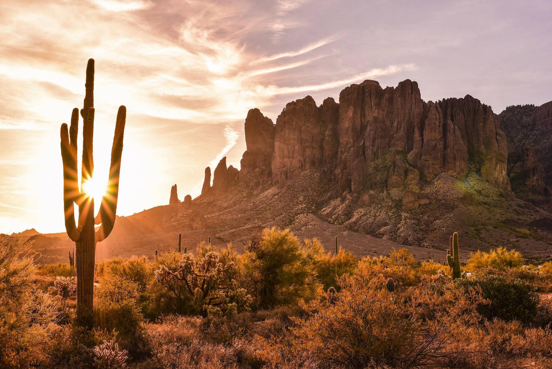 1920x1282 Free Arizona Desert Wallpaper Downloads, Arizona Desert Wallpaper for FREE
