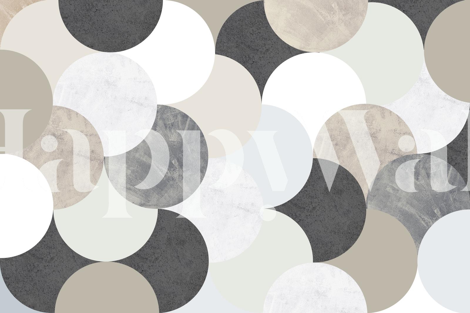 1600x1067 Circle Geometric wallpaper wallpaper