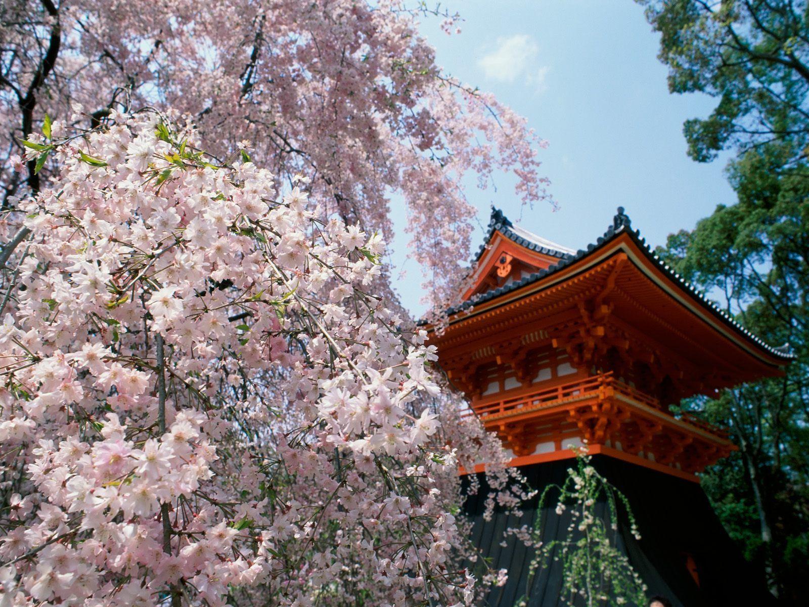 1600x1200 WallPapers. Kyoto, Japan
