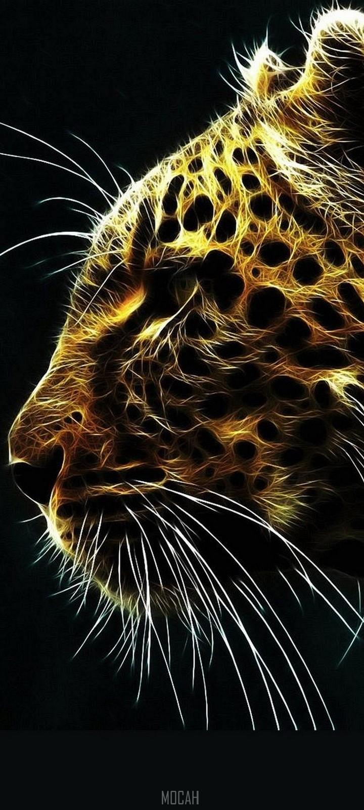 720x1600 Wildlife, Close Up, Television, Terrestrial Animal, Nose, Infinix Hot 9 wallpaper 1080p, 720x1600 Gallery HD Wallpaper