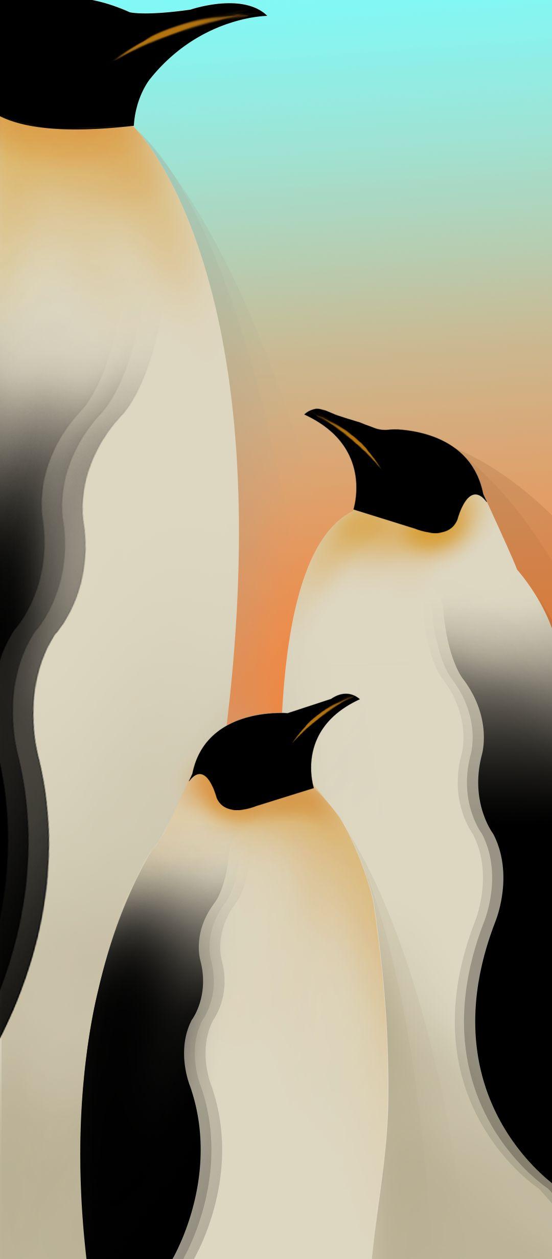 1080x2460 Infinix Hot 10 Stock Wallpaper [1080x2460]