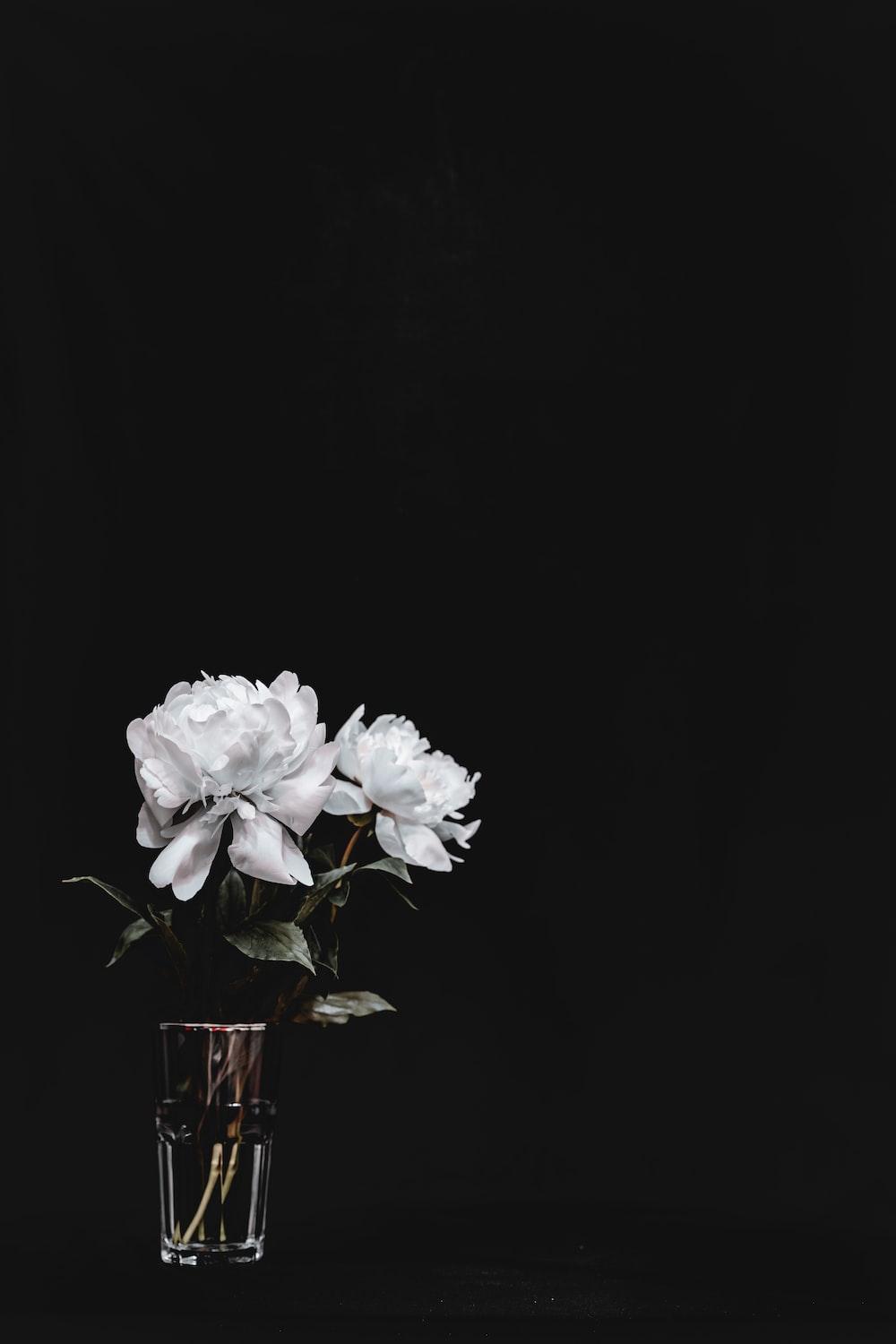 1000x1500 Black And White Flower Picture [HD]. Download Free Image