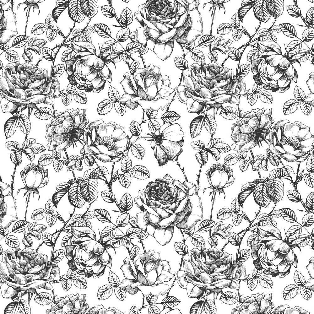 Black White Floral Wallpapers - Top Free Black White Floral Backgrounds ...